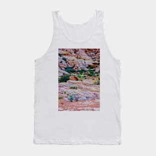 Red Rock Calico Basin 4 Tank Top